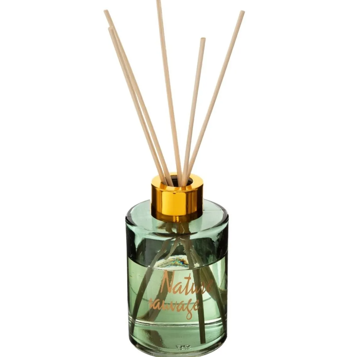 Coffret cadeau cage "Jungle"