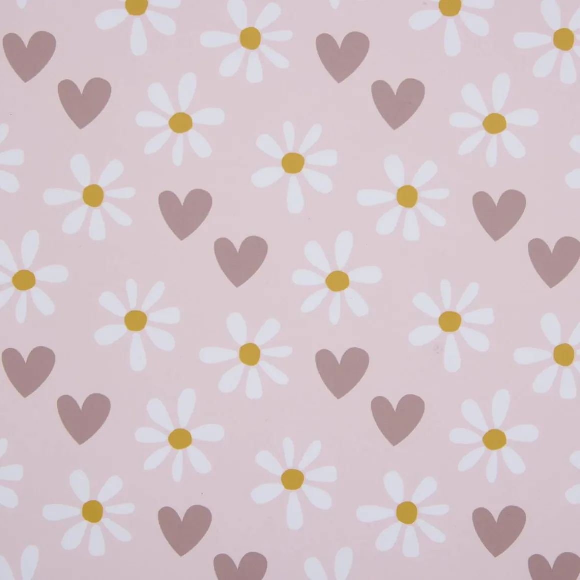 Coffret empreinte "Cilia"