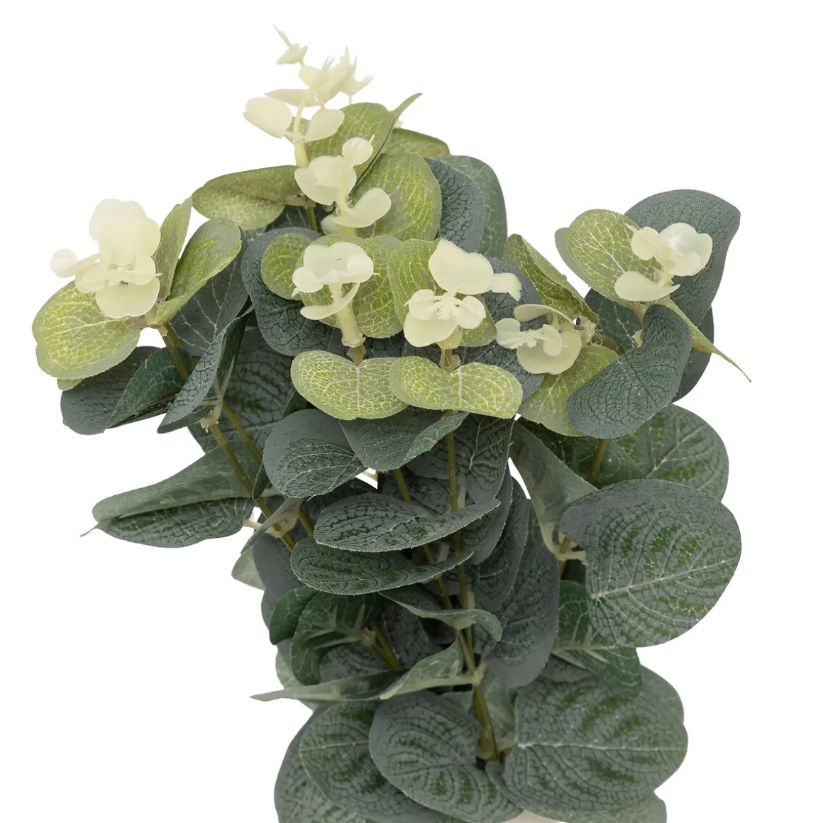 Composition Eucalyptus avec vase "Suza"