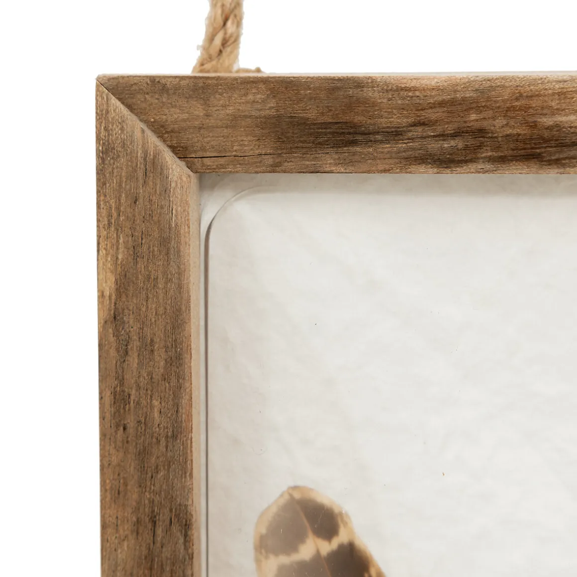 Déco murale bombée plume "Jonas"