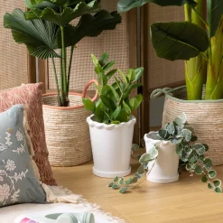 Lot de 2 cache-pots "Wild"