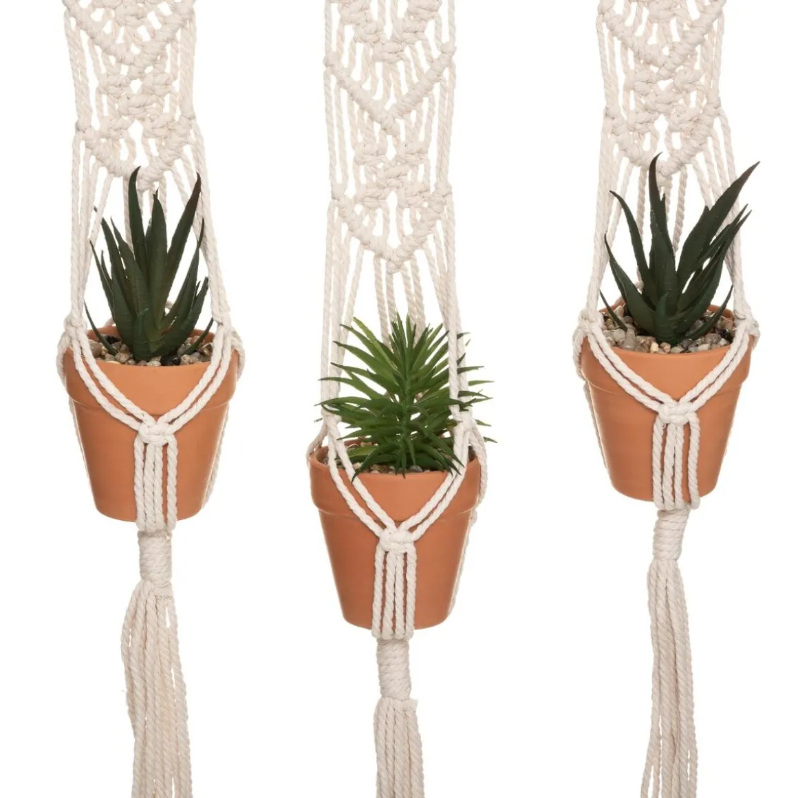 Lot de 3 plantes suspendues "Hacienda"