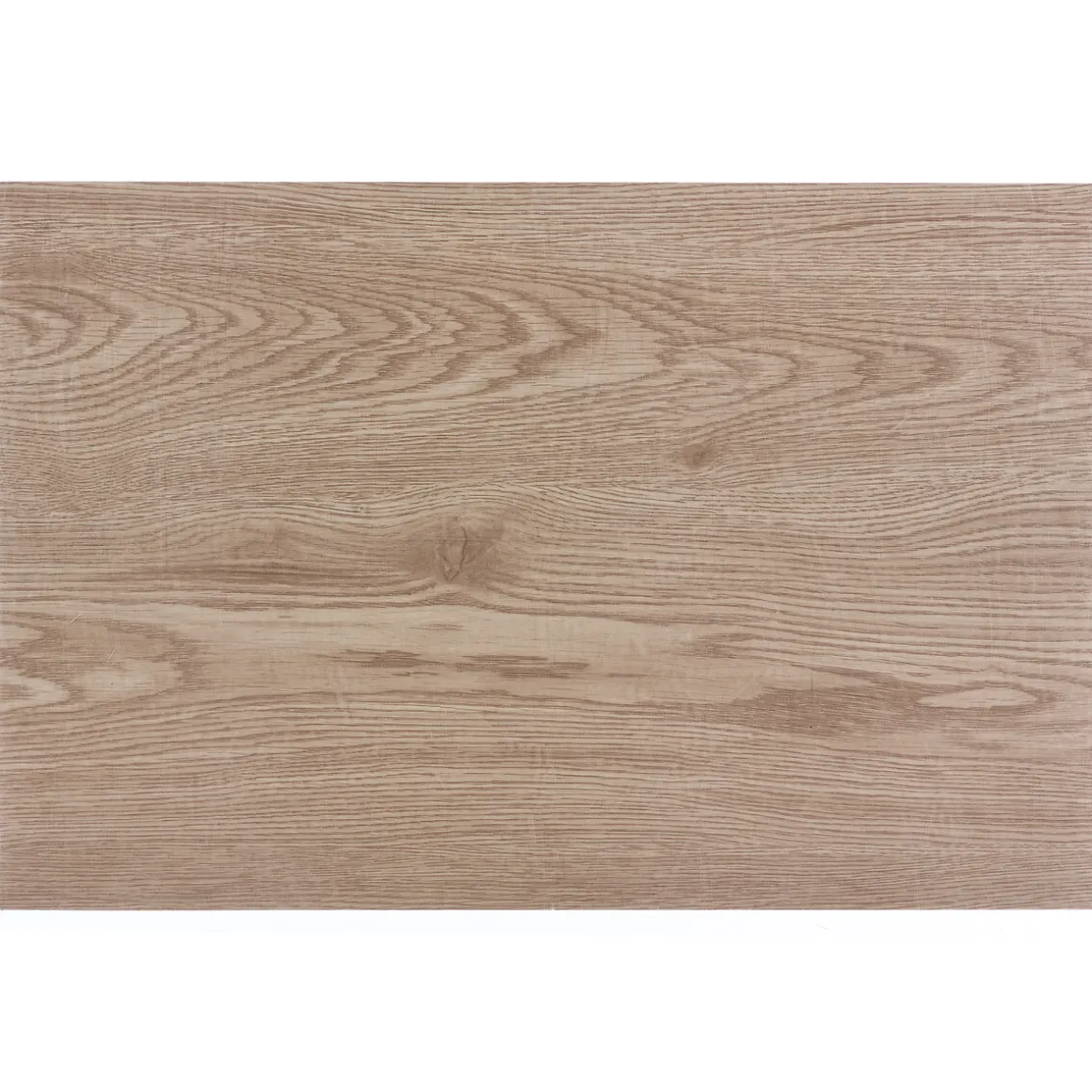 Lot de 6 sets de table "Wild Forest"