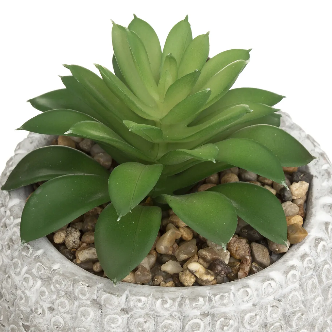 Plante artificielle "Bouddha"