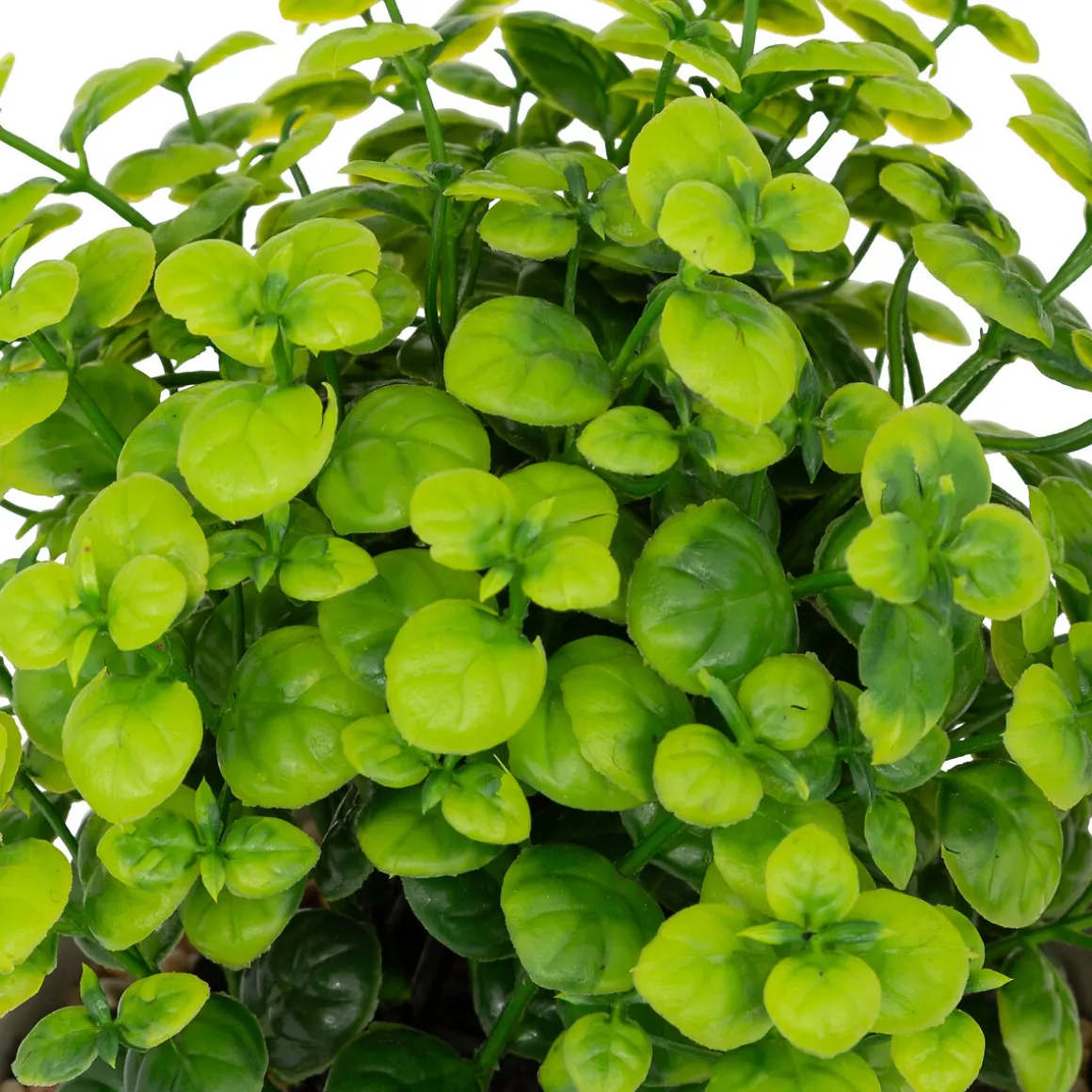 Plante artificielle en pot "Dusty"