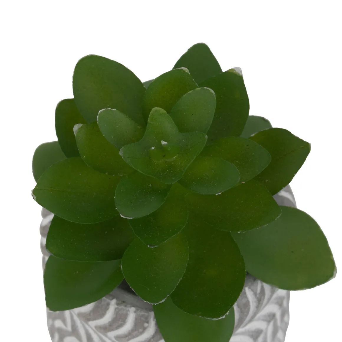 Plante artificielle petit format "Ubi"