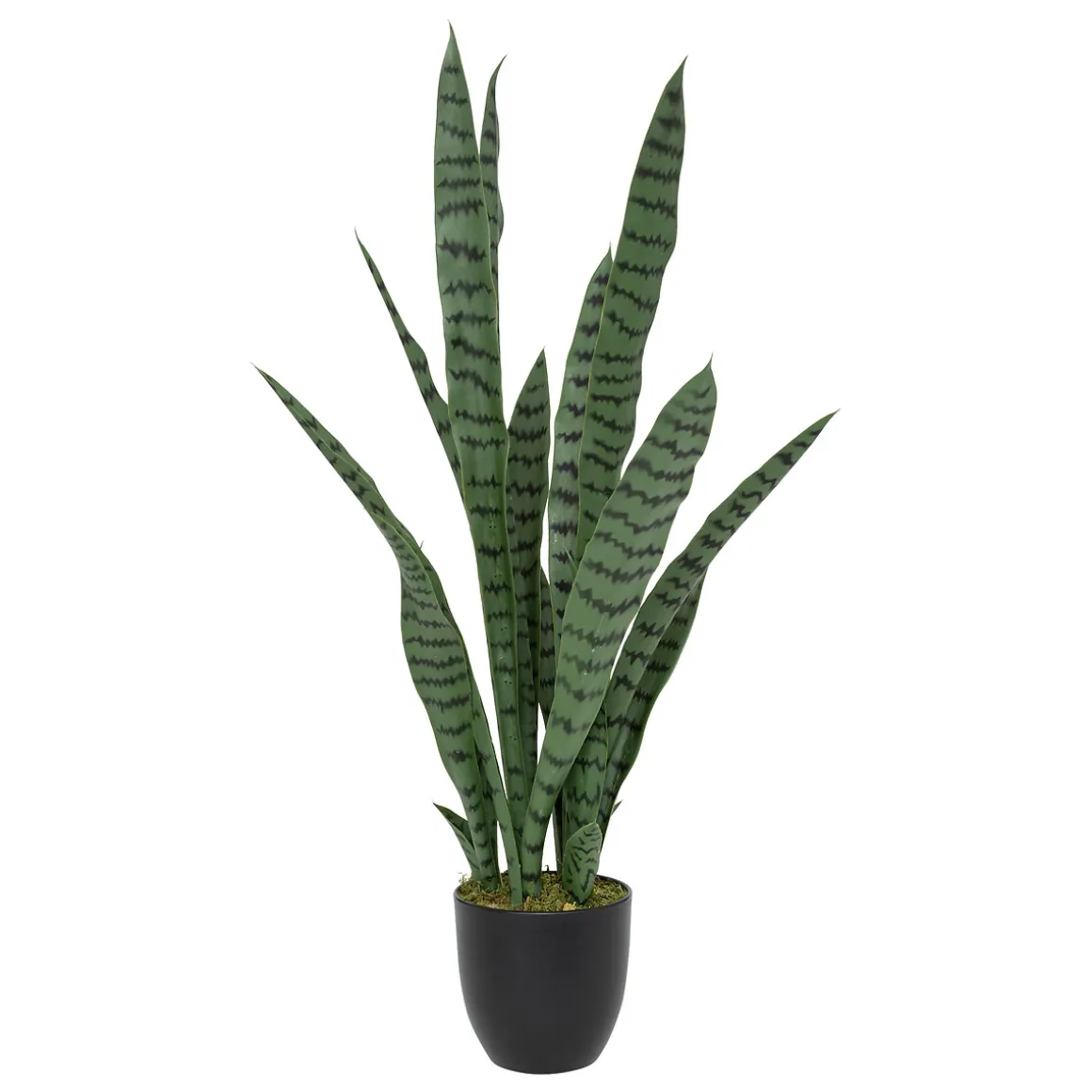 Plante artificielle sansevieria "Toby"