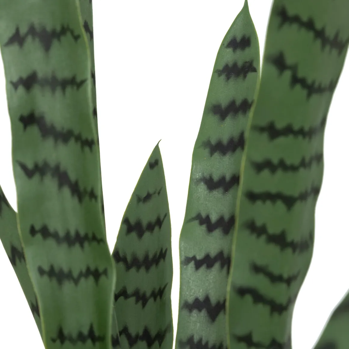 Plante artificielle sansevieria "Toby"