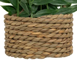 Plante artificielle suspendue 