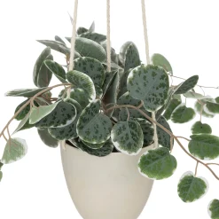 Plante artificielle suspendue "Lourmarin"