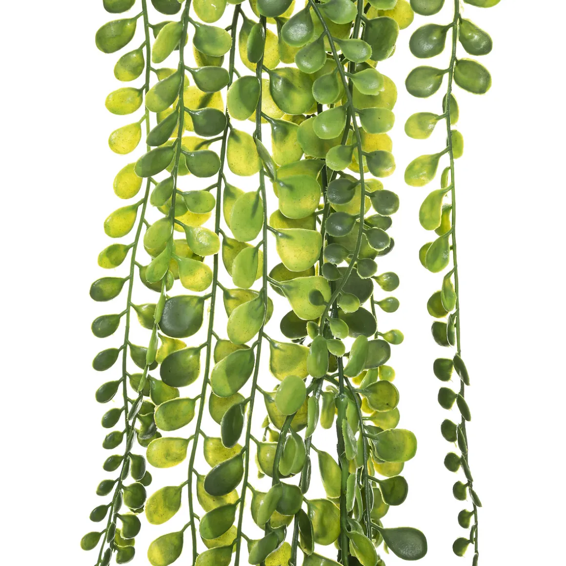 Plante artificielle tombante