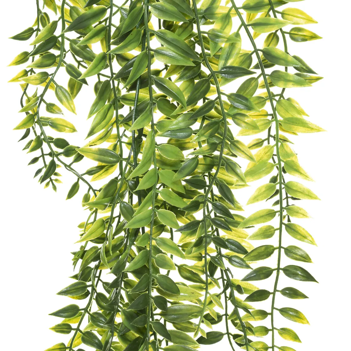 Plante artificielle tombante