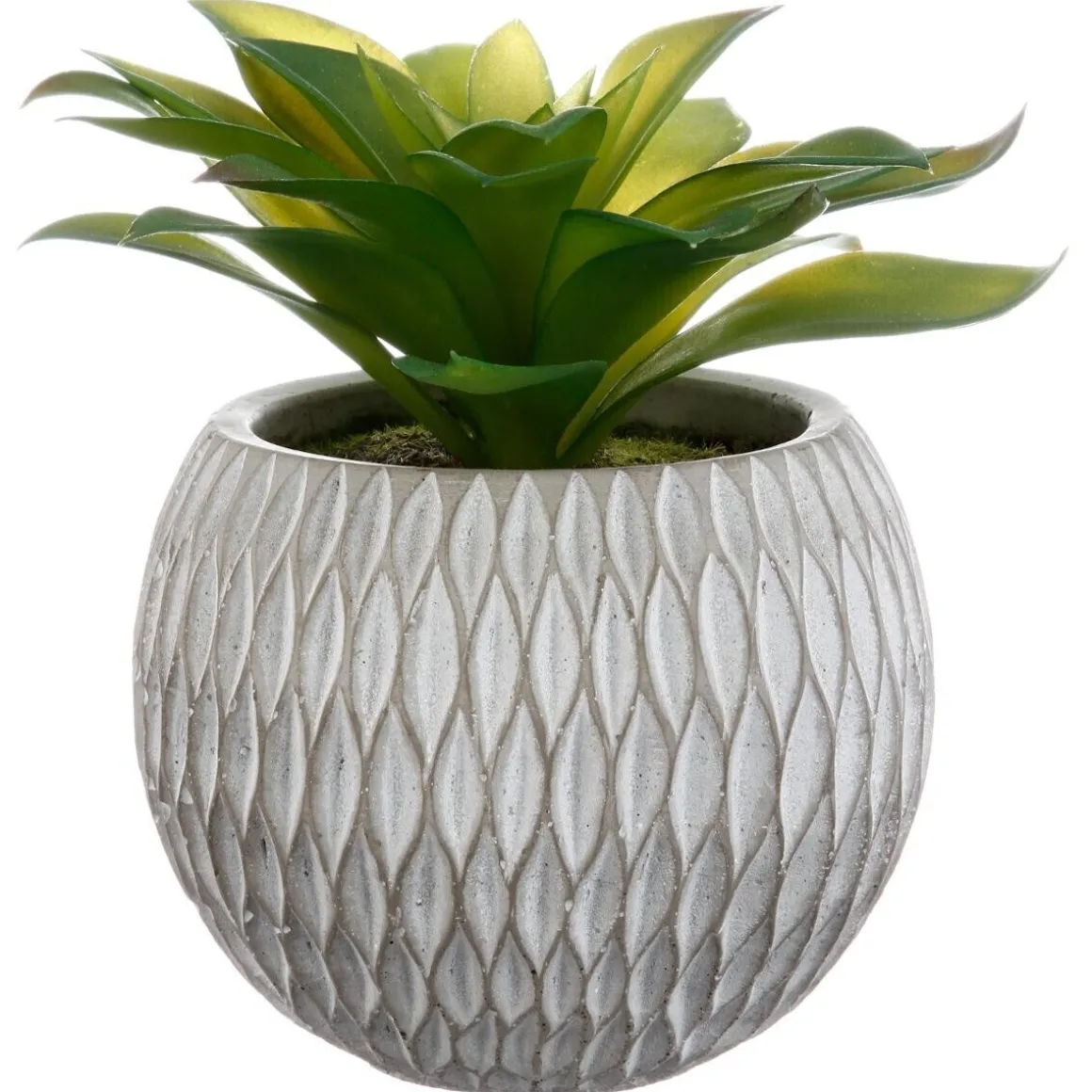 Plante grasse artificielle