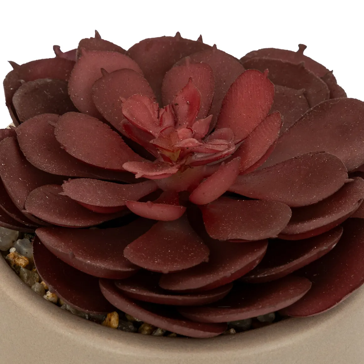 Plante grasse artificielle "Nils"