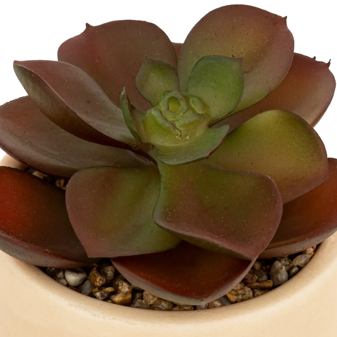 Plante grasse artificielle "Nils"