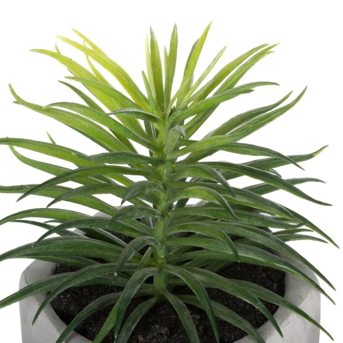 Plante grasse artificielle