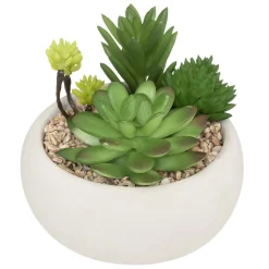 Plante grasse artificielle