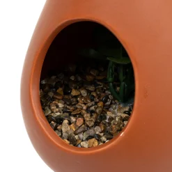 Plante suspendue goutte