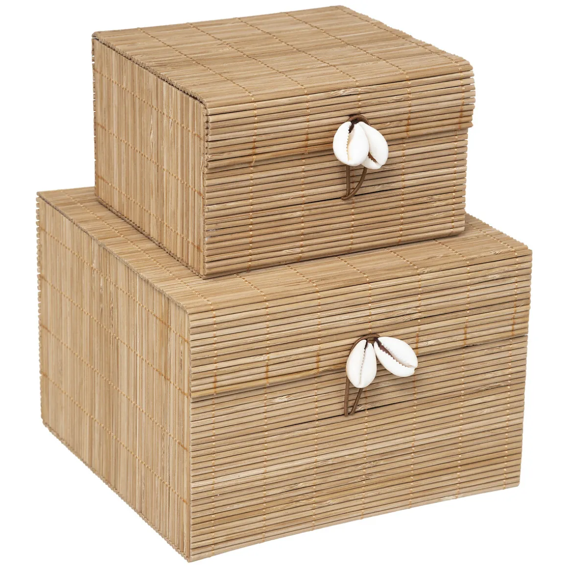 Set de 2 boites "Tropiques"