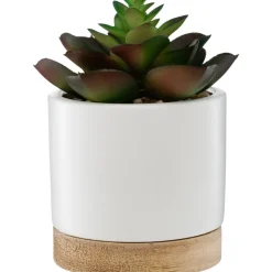 Succulente artificielle