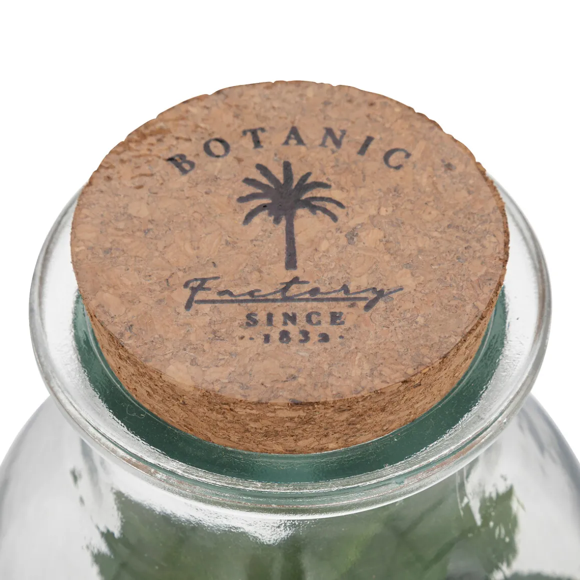 Terrarium "Bota", verre