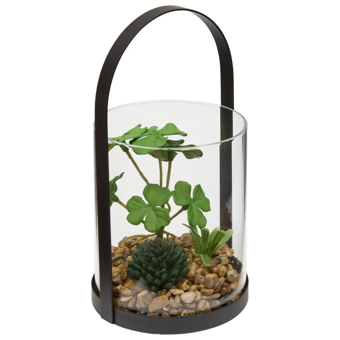 Terrarium "Wilo"