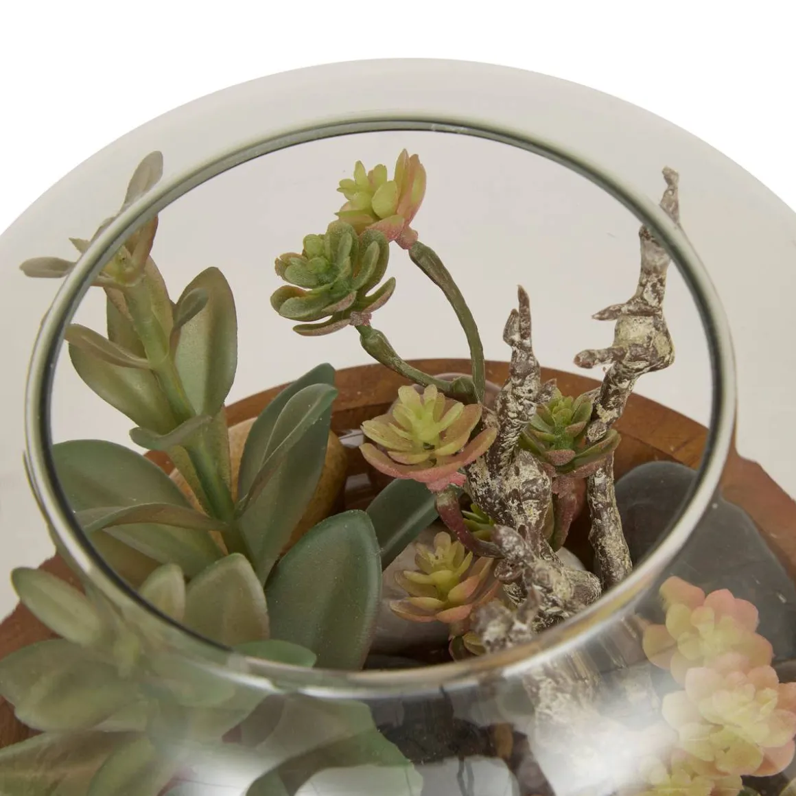 Terrarium "Wonj"