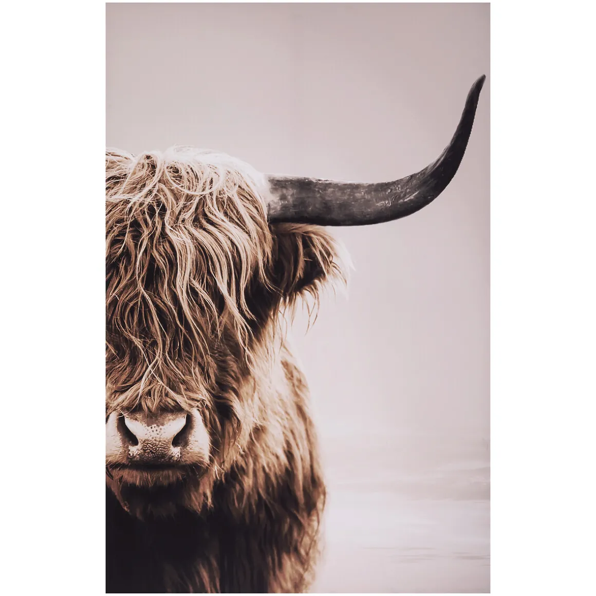 Toile encadrée "Animaux"