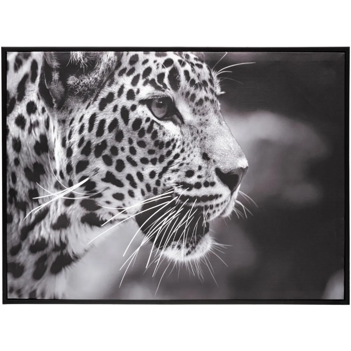 Toile encadrée "Animaux"