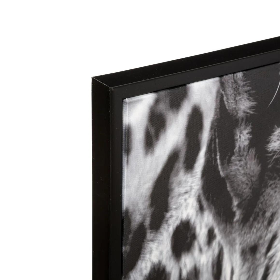 Toile encadrée "Animaux"