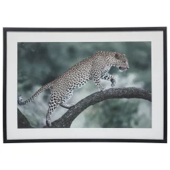 Toile imprimée "Juni"